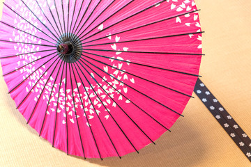 和傘 umbrella of the Japanese tea ceremony