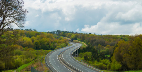 empty highway in the forest