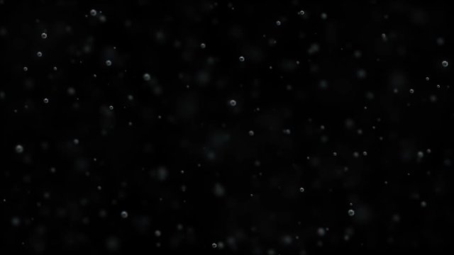 Bubbles of champagne rise up on a black background.