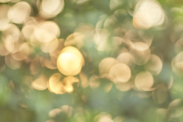 Soft blur sweet bokeh background