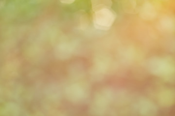 Obraz premium Miękkie rozmycie tła słodkiego bokeh