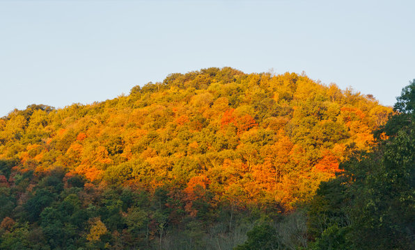 Deciduous trees changing colour in fall along the Blue Ridge Parkway, Virginia, USA © PNPImages