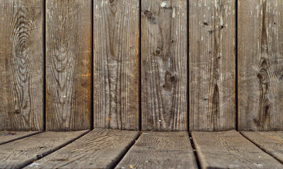 Fototapeta premium Tree, fence, vertical