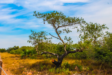 Enverdeciendo de nuevo