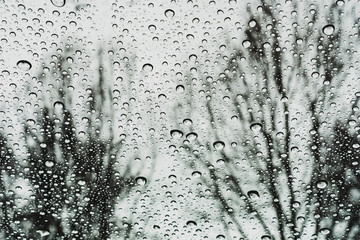 Drops of rain on the window; blurred tree branches in the background; shallow depth of field