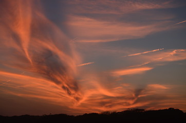 Sunset in South Carolina