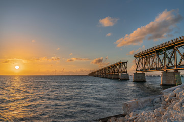 Florida Keys Landscape