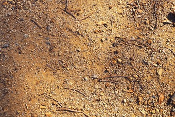 soil, earth, ground