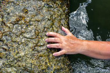 woman's hand out of the water trying to grab the coastal stone and escape from the sea. Close-up. Copy space
