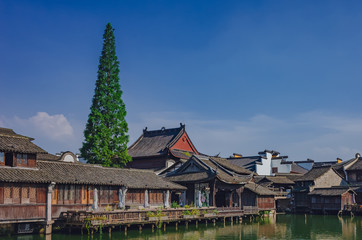 Obraz premium Traditional Chinese houses and trees by water, in the old town of Wuzhen, China