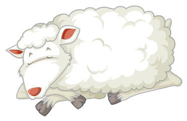 An isolated sheep sleeping