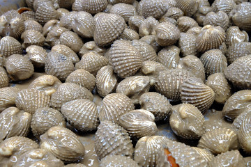 Raw fresh cockles with hard shells stained by mud on the tray at supermarket