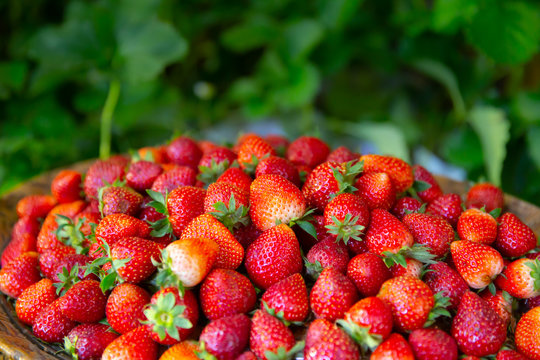 Strawberry Most Pesticide Residue Fruit Danger