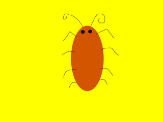 brown cockroach isolate on yellow background