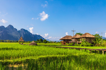 Landscape of rice field in Vang-vieng, Laos PDR.