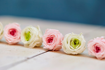  preserved flowers