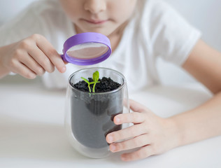 Child is looking at small green sprout through magnifier. Hands of kid are using the magnifying glass. Examining plant leaf. Preschool environmental education. Earth day concept and global warming