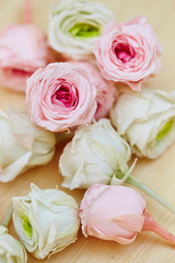 roses on a wooden background
