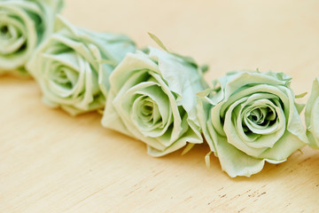 roses on a wooden background
