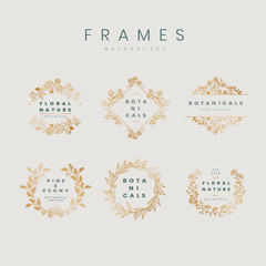 Floral botanical frame collection