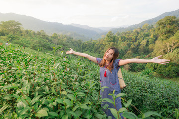 Picking tip of green tea leaf by  hand at tea plantation hill