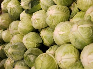 Fototapeta na wymiar heads of green cabbage
