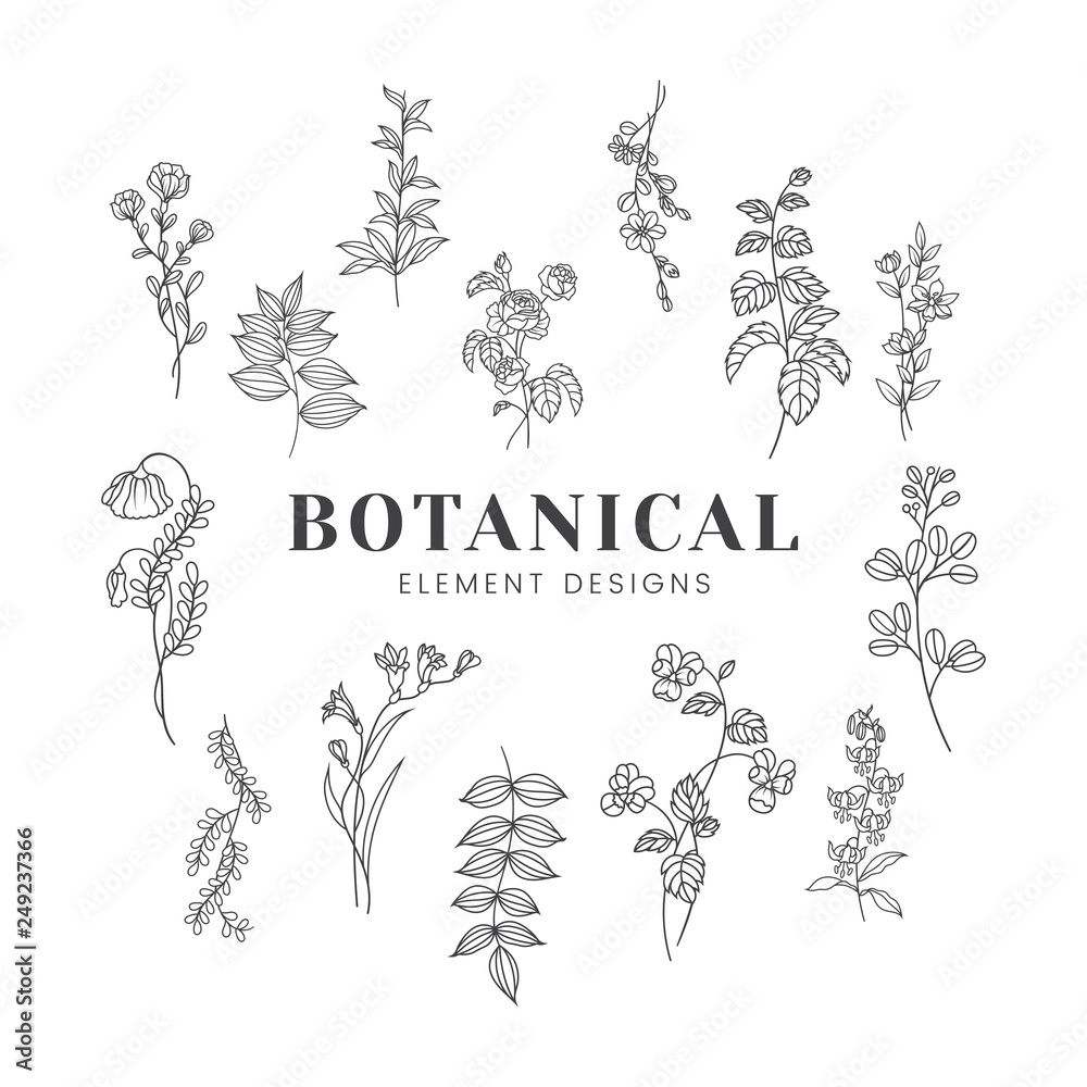 Wall mural Botanical floral mockup illustration