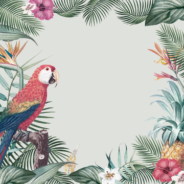 Tropical parrot frame