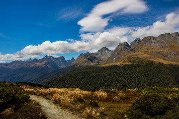 View of Mount Aisla on divide trail near Milford sound in southern New Zealand