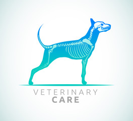Veterinary Care Emblem Design, Bone Scan Dog Care vector illustration