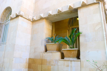 Plant on stone pots at the entrance to the house 