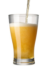 ビール 白バック