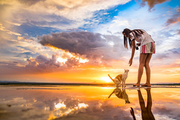 Young  asian woman with her cat at sunset