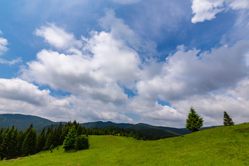 Fototapeta na wymiar Beautiful pastoral scenery in the mountains in spring, with green foliage, fir tree forests and nice clouds