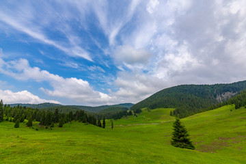 Beautiful pastoral scenery in the mountains in spring, with green foliage, fir tree forests and nice clouds