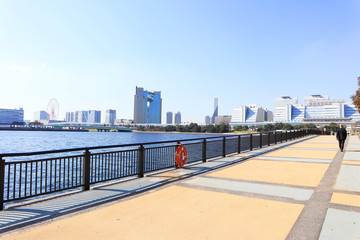 Obraz na płótnie Canvas Viewing Tokyo Bay