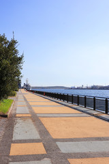 Viewing Tokyo Bay