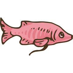 Pink Exotic Fish