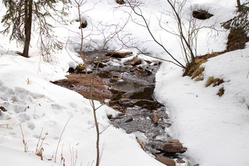 Frozen Stream