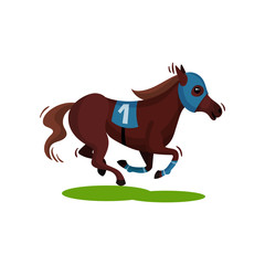 Brown racing horse in blue mask. Solid-hoofed mammal animal. Sport theme. Flat vector design