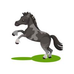 Flat vector design of cute gray spotted horse standing on its hind legs. Pony with short mane and long tail