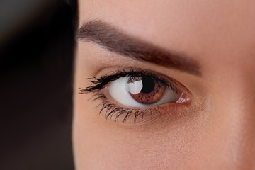 Obraz premium Beautiful macro shot of female eye with extreme long eyelashes and black liner makeup. Perfect shape make-up and long lashes. Cosmetics and makeup. Close Up macro shot of fashion eyes visage.Cosmetics