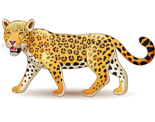 Cartoon Cheetah isolated on white background