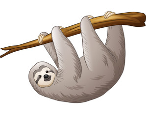 Illustration of sloth hanging on a branch © tigatelu