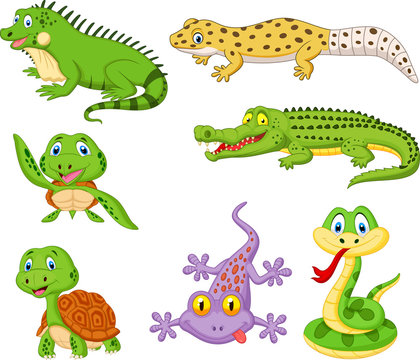 Cartoon reptiles and amphibians collection set