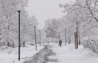 Moscow street after a snowfall
