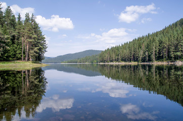 Fototapeta na wymiar Lake Shiroka Polyana in the Rhodopes with reflections of pines and clouds, Bulgaria