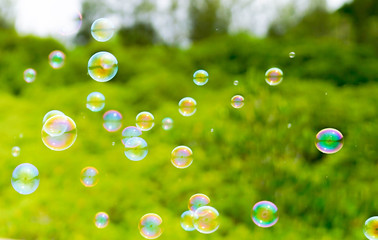 Soap bubble in summer park, green field, natural background.