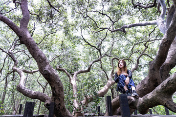 Fototapeta premium Beautiful woman sitting on big tree branch in the middle of the pathway at Golden Mangrove Field (Tung Prong Thong) ,Pra Sae, Rayong, Thailand.