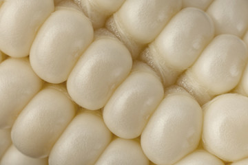 White corn vegatable closeup background